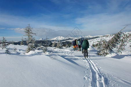 在美丽的白雪皑的喀尔巴阡山脉中图片