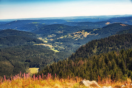 来自德国黑森林的费尔德伯格全景Fel图片
