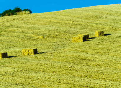 安达卢西亚地区粗茬地的方形稻草包农业收获时图片