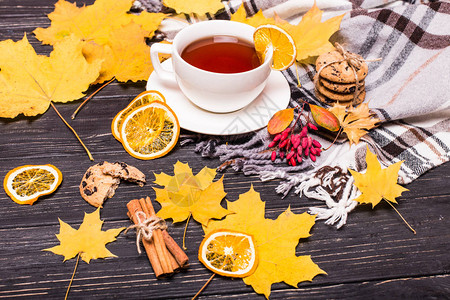 秋天的成分包括果茶杯秋叶肉桂棒星锥图片