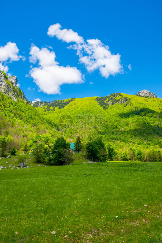 高峰岩石背景上风景秀丽的绿色草地图片