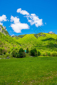 高峰岩石背景上风景秀丽的绿色草地背景图片
