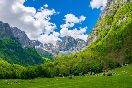 高山间风景如画的草地和森林背景图片