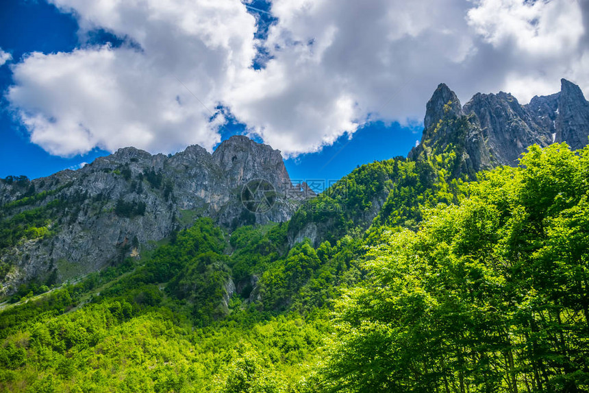 黑山照片中的大山亲吻猫BigMountKiss图片