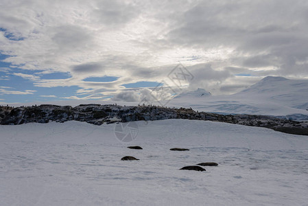 与企鹅的南极风景图片