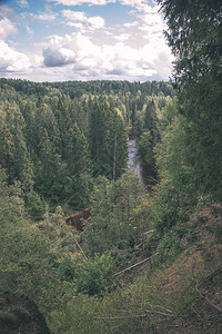 拉脱维亚的阿马塔河夏天环绕着绿色森林图片