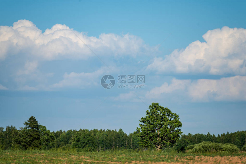 深秋田园风光图片