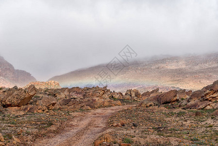 西开普省Cederberg山区Matjiesrivier和Wuppperthal之间的公背景图片