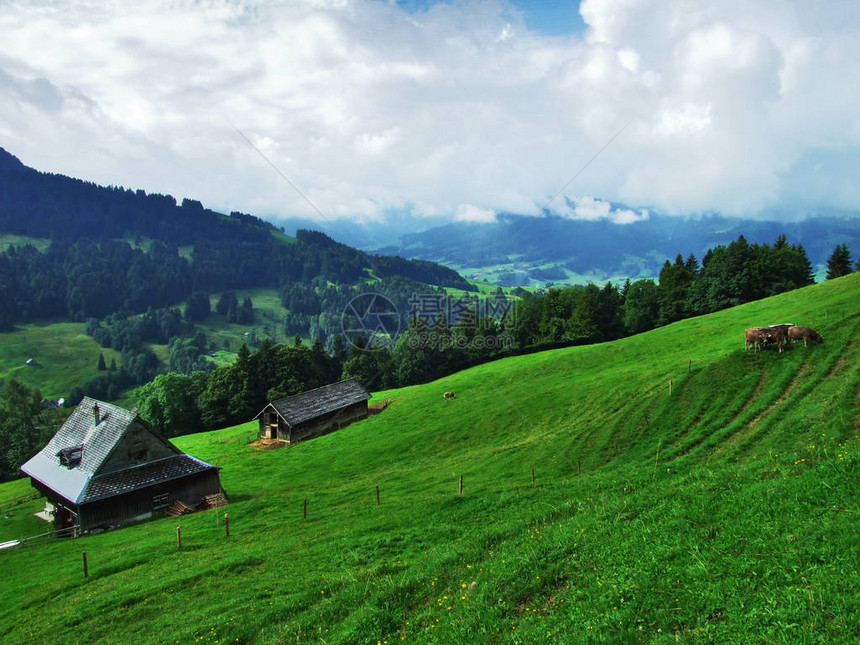 东瑞士地区的农场和牧场瑞图片
