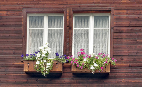 瑞士窗户上有鲜花的门面图片