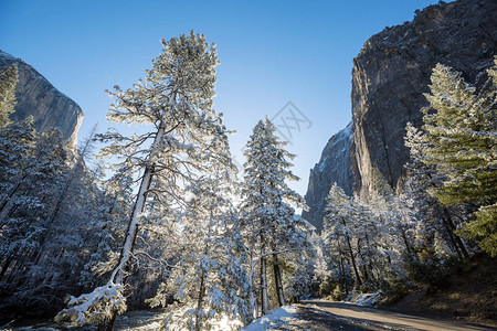 美国加利福尼亚州Yosemite公图片