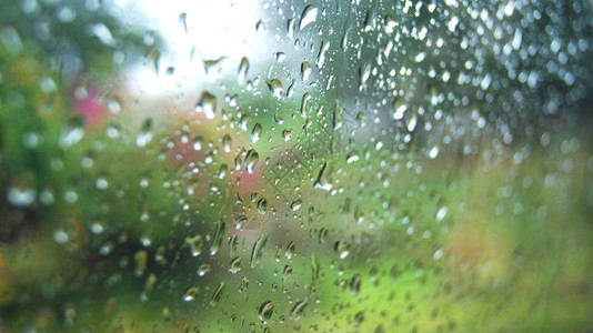 玻璃上的雨滴有雨滴和绿树自然背景的下雨图片