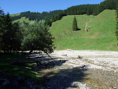东瑞士地区的森林溪流瑞图片