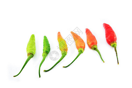 辣椒分离辣椒绿色橙到红色在白色背景图片