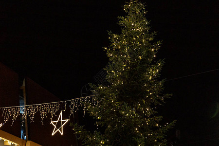 德国南部夜间购物中心的圣诞树和灯光图片