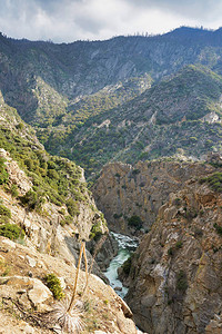 峡谷中的河流美国红杉公园图片