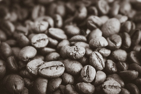 新鲜烘焙精选美味浓郁的棕色天然香咖啡树粒阿拉比卡咖啡豆罗布斯塔的美丽质地复背景图片