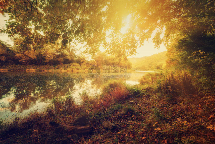 美丽的阳光明媚的秋天风景在水中反图片