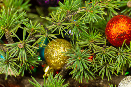 圣诞树枝和球Xmas装饰特图片