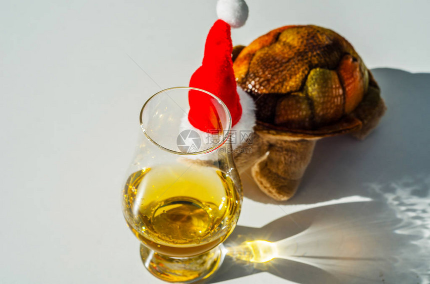 具有单一麦芽威士忌玻璃圣诞假日象征Xma图片
