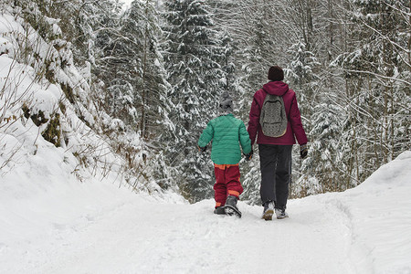 母亲和儿子在寒冷的森林背景下沿着雪覆盖的道路行图片