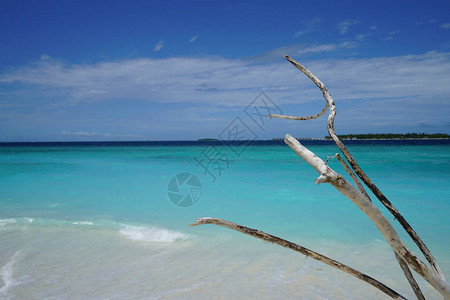 马尔代夫的海景从一个有图片