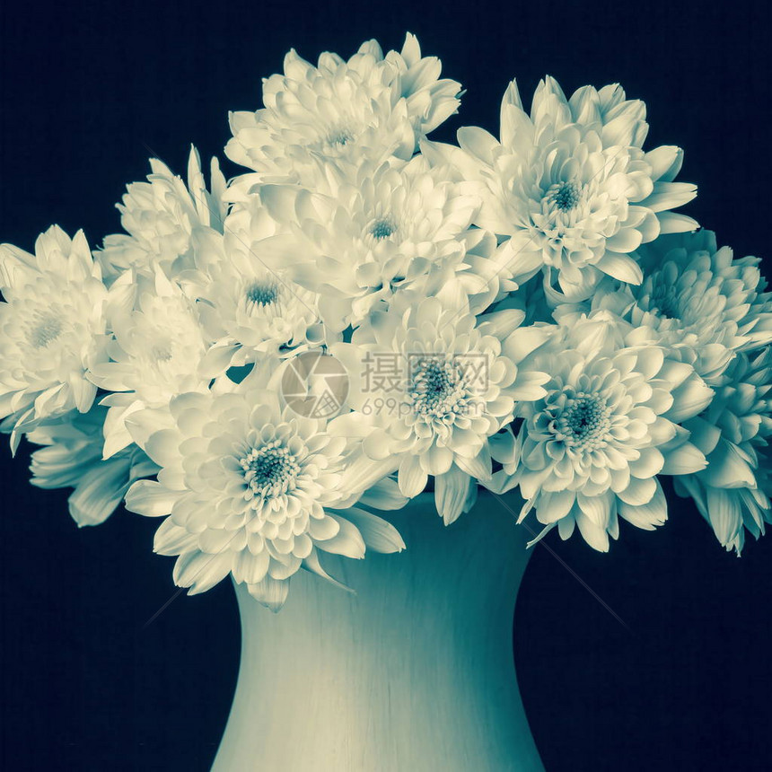 一束花朵小白菊花瓶里有11块以上在完全黑色图片