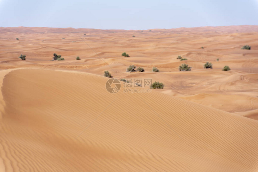沙迦漠地区大红到粉紅岩路外车最受访的图片