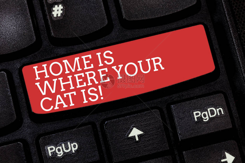 写笔记显示家是你的猫在哪里商业照片展示小猫爱好者猫科动物保护可爱的动物键盘意图创建计算机消息图片