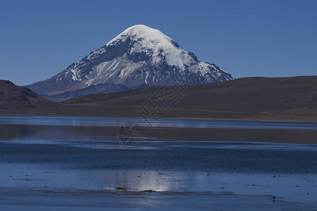 智利劳卡公园海拔约4图片