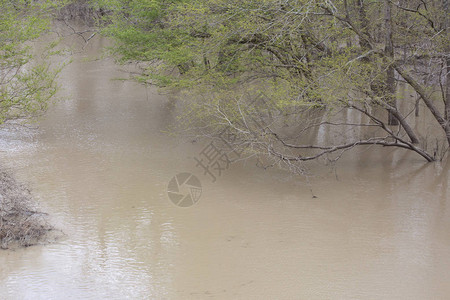 一条泥泞的河流的非常狭窄的流域图片