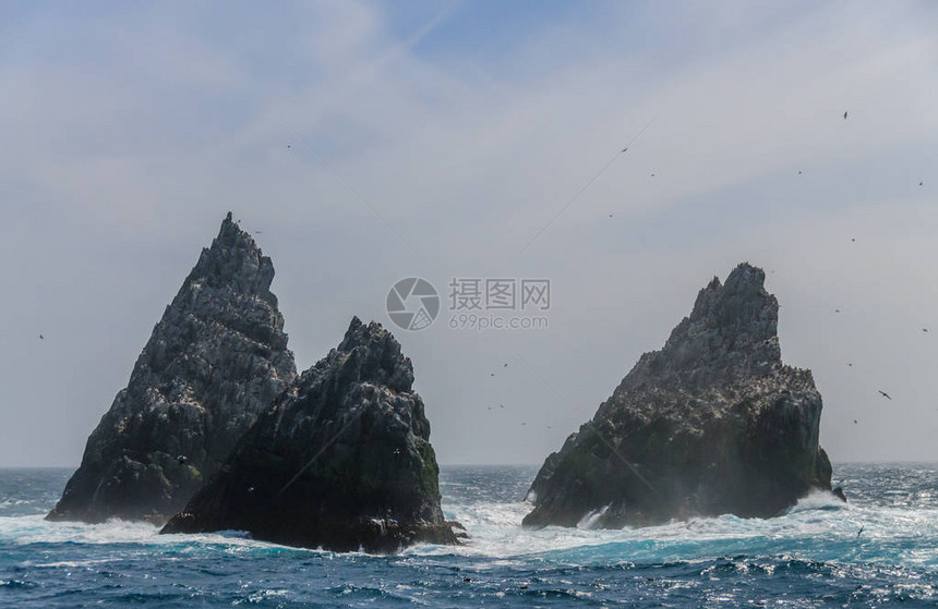 ShagRocks是南乔治亚州最西部的六个无人居住的小岛它们以南乔治亚帝国鸬鹚命名图片