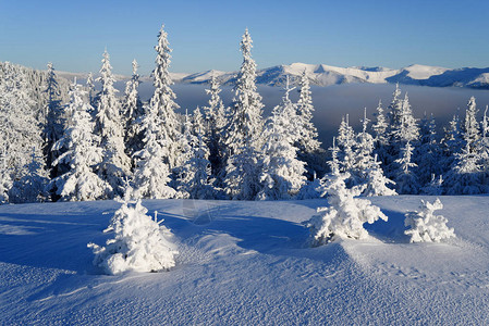 本宫气了寒霜覆盖了山林中的树木冬天气晴朗背景