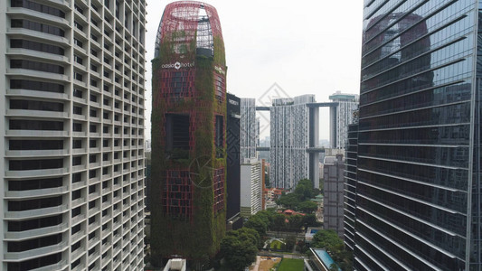 现代建筑的天线和新加坡美丽酒店的常春藤覆盖的墙壁新加坡商务楼中图片