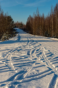 冬季路上有雪车胎轨覆图片