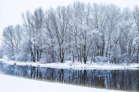 靠近水边的冬季风景在旧公园里树上图片