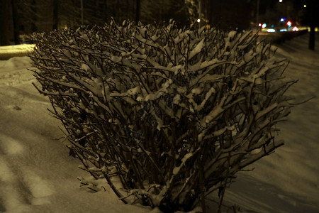 晚上在城市公园里雪和图片