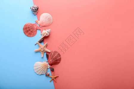 不同的贝壳与彩色背景上的海星图片