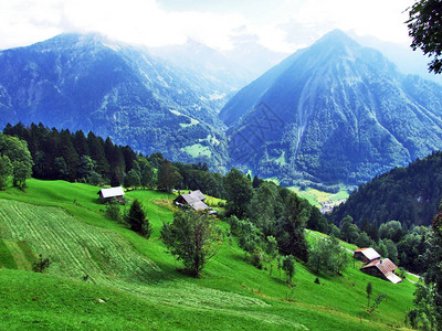 瑞士格拉鲁斯州Braunwald地区畜牧场上图片