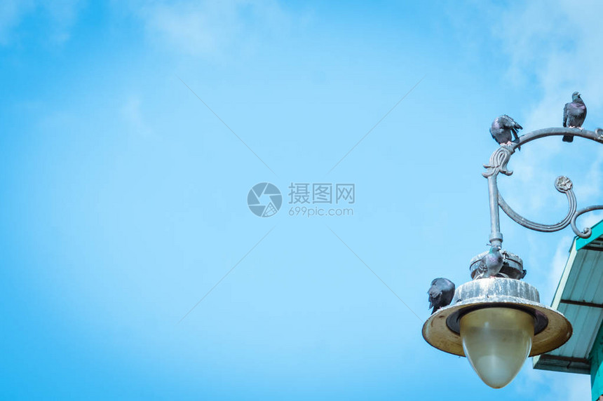 蓝色清晰天空背景的小型传感器太阳灯街图片