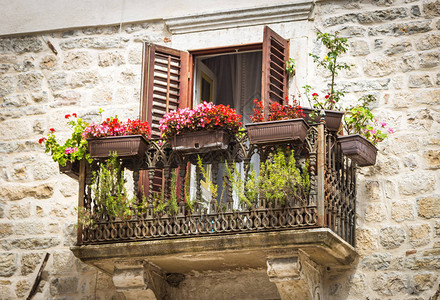 在黑山科托尔用红花装饰的露天金属护栏和红花装饰的美图片