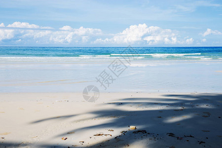 椰子树影在沙滩图片