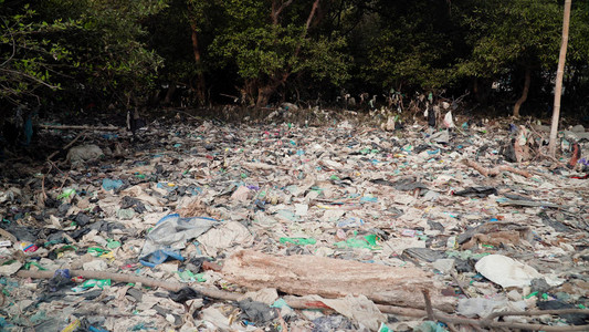 亚洲红树林生态问题中的垃圾环境污染图片