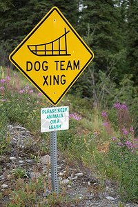 DogTeamXing狗拉雪橇队穿越阿拉斯加的路标图片