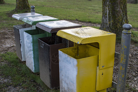 在草地上用四个不同颜色的废物箱进行图片