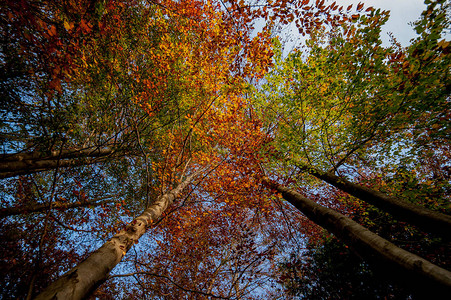 色彩鲜艳的秋天风景图片
