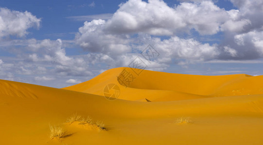 撒哈拉沙漠丘在摩洛哥图片