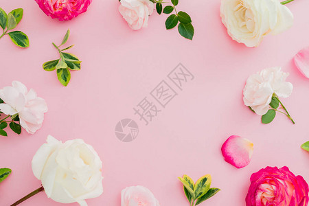 花框与粉红色背景上的白色和红色玫瑰花朵图片