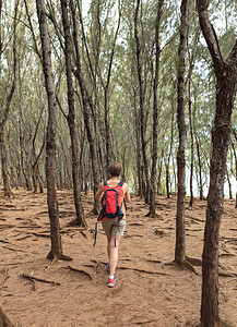 孤独的女人在森林里漫步图片