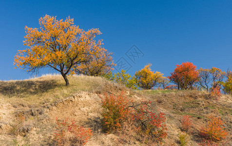 乌克兰中部秋季天山丘图片